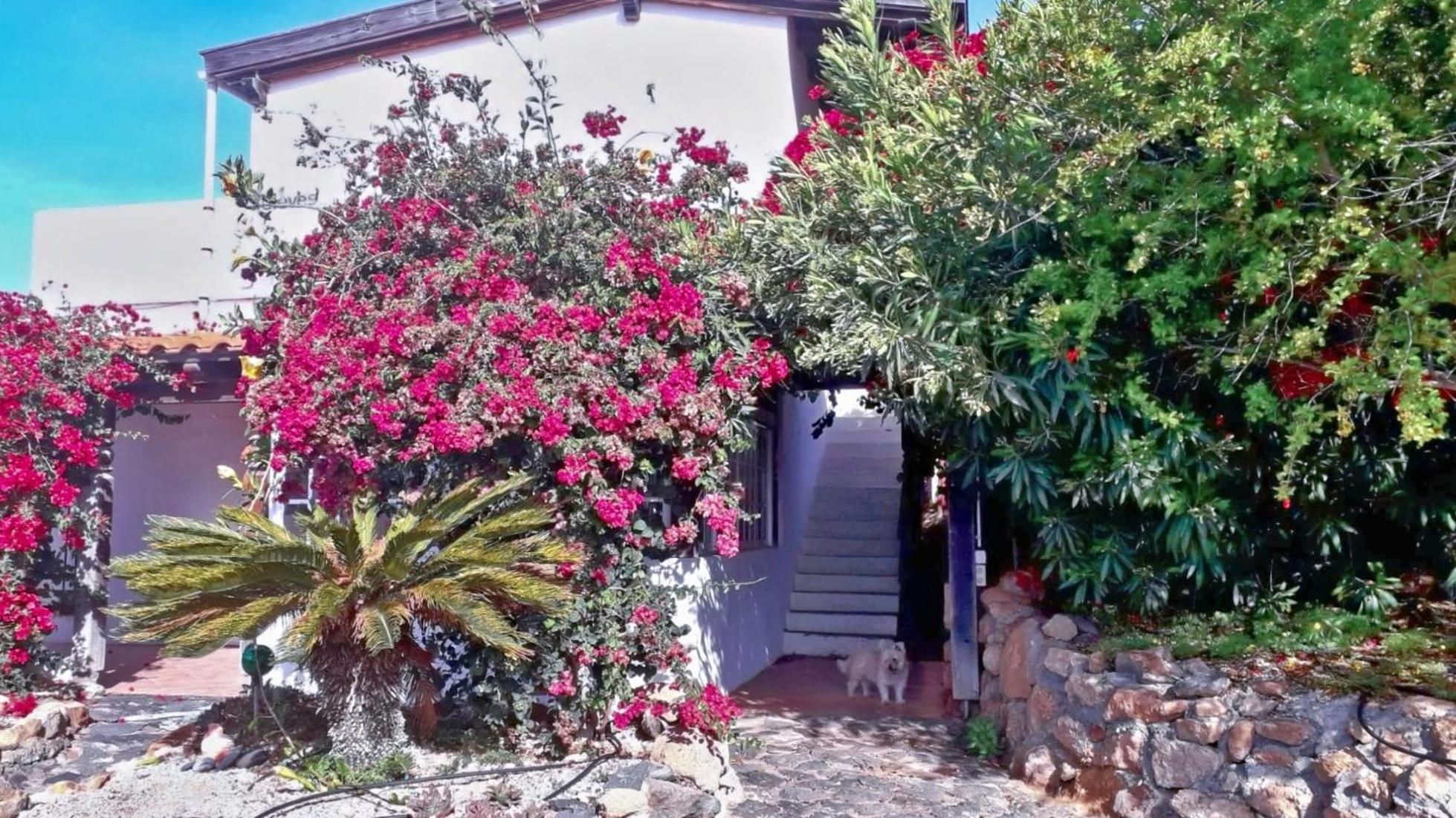 -Casa Azul-Arico Viejo La Sabinita - Baden, Wandern, Klettern, Individualurlaub Jenseits Des Massentourismus, 빌라 외부 사진