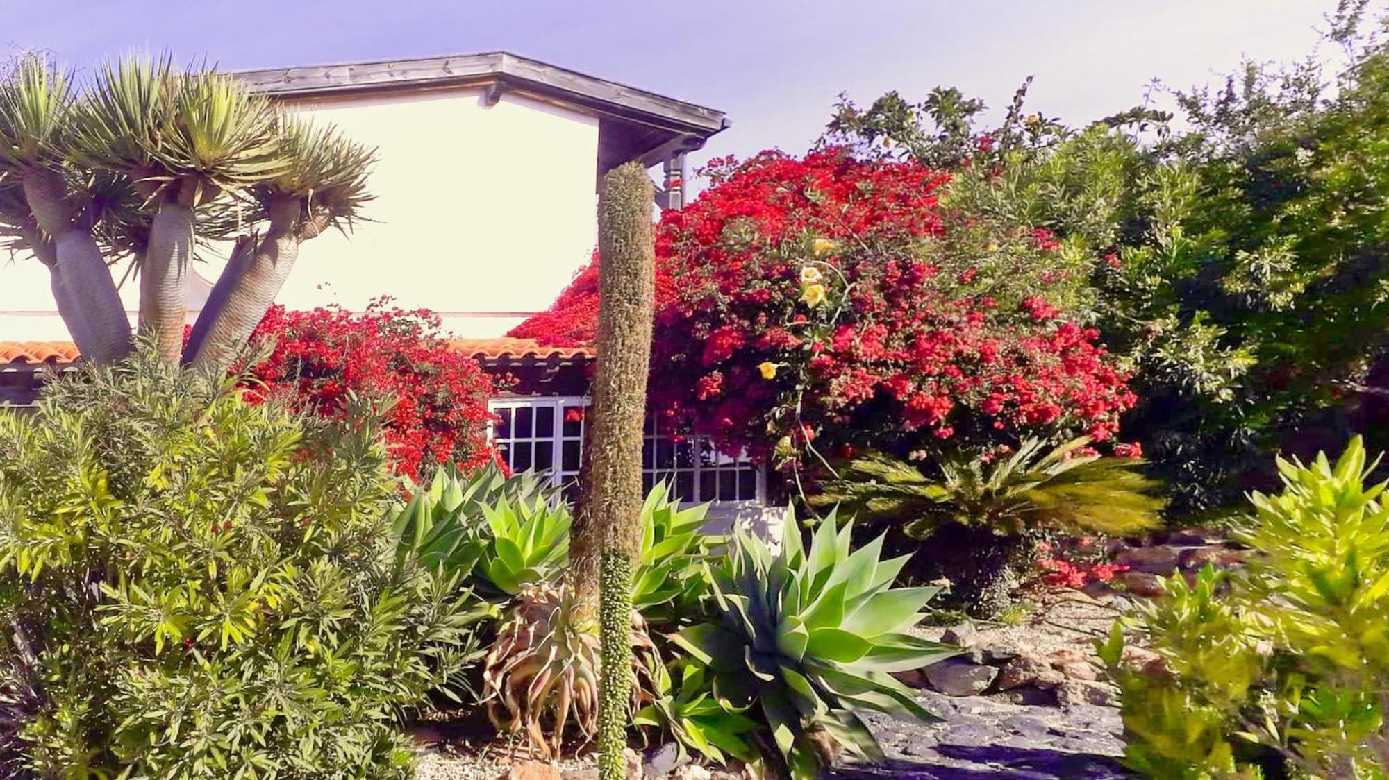-Casa Azul-Arico Viejo La Sabinita - Baden, Wandern, Klettern, Individualurlaub Jenseits Des Massentourismus, 빌라 외부 사진